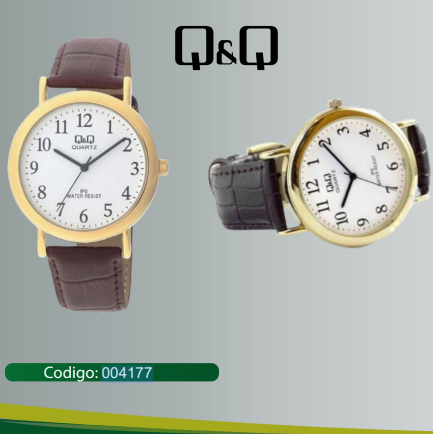 RELOJ Q&Q