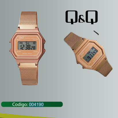 RELOJ Q&Q