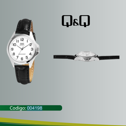 RELOJ Q&Q