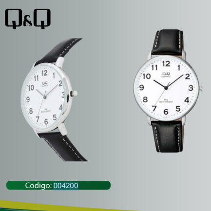 RELOJ Q&Q