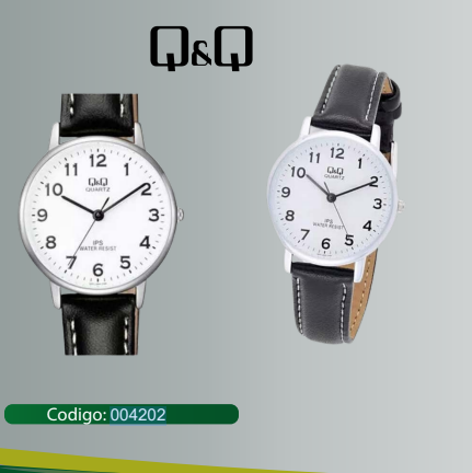 RELOJ Q&Q